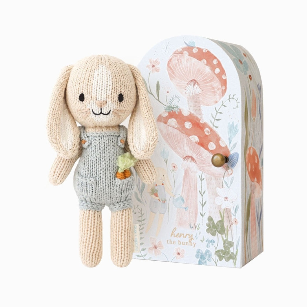 Tiny Henry the Bunny