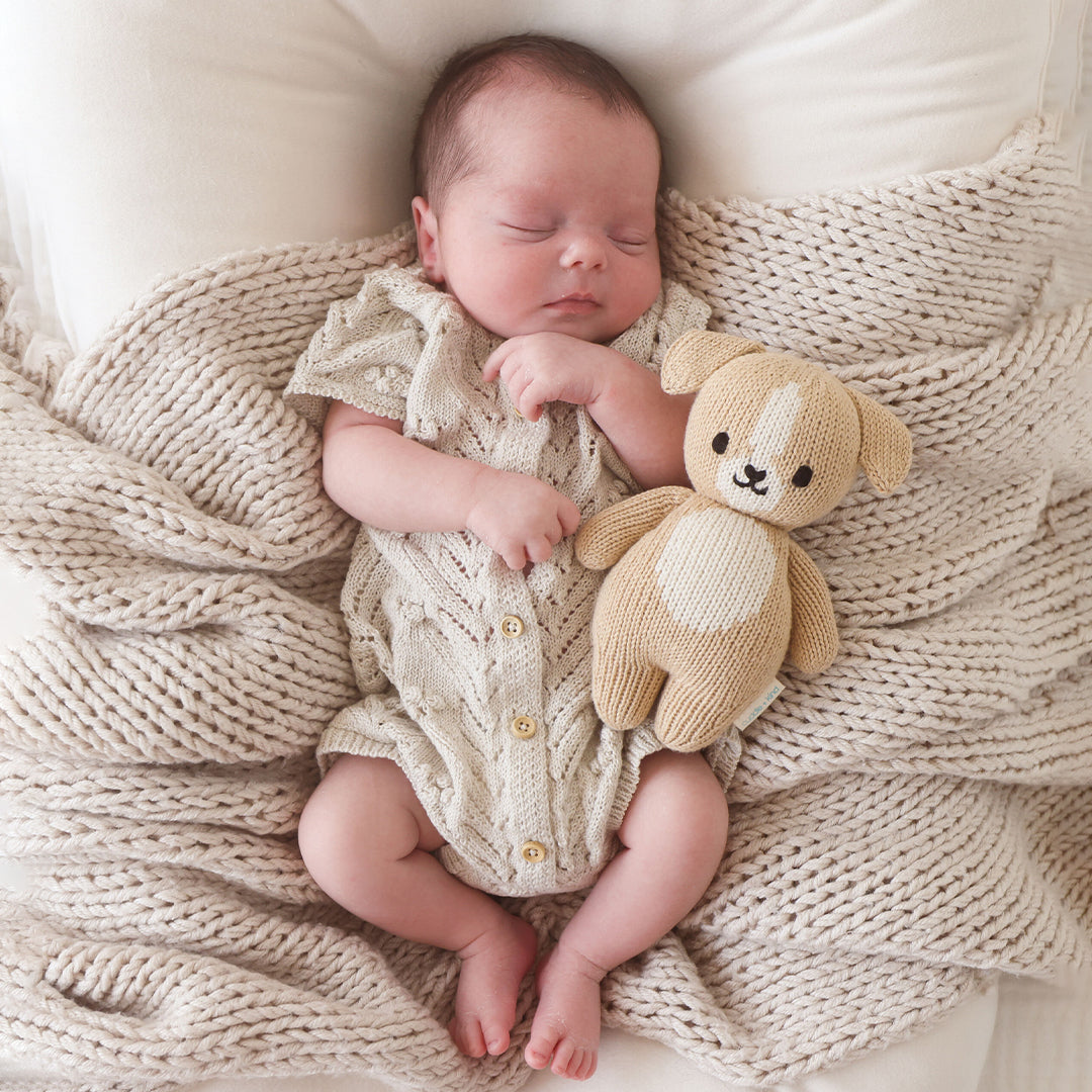Baby Puppy – Peekaboo and Company