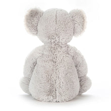 Bashful Koala