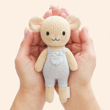 Tiny Bailey the Mouse